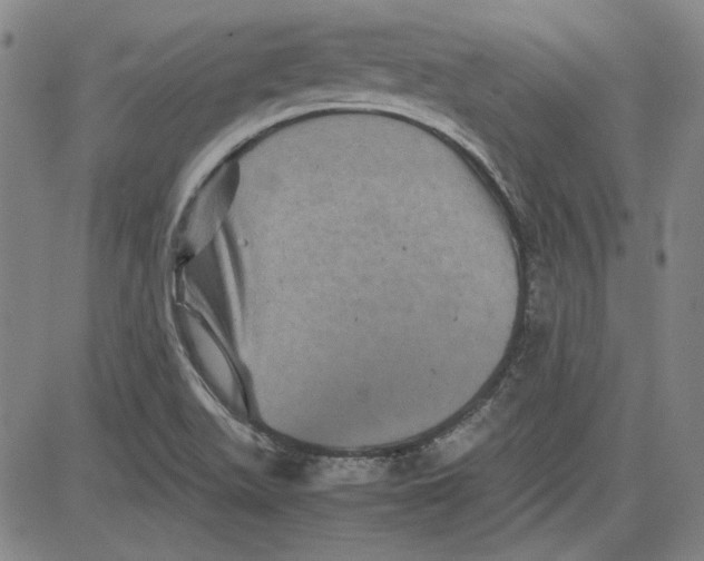 X0000080811511200701051137