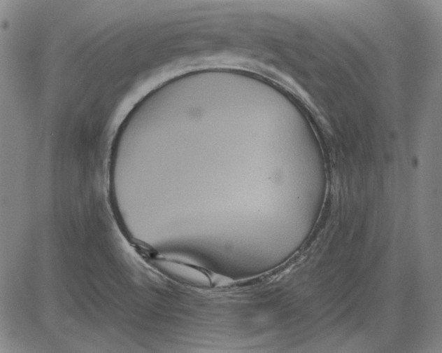 X0000080811512200701051137