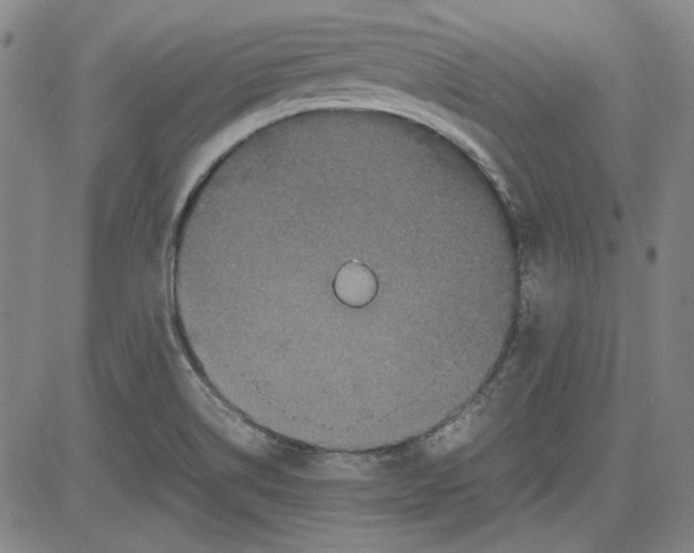 X0000080811514200701051137