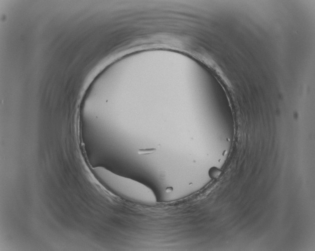 X0000080811516200701051137