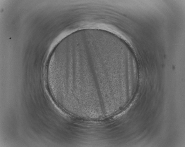 X0000080811517200701051137