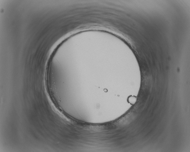 X0000080811518200701051137