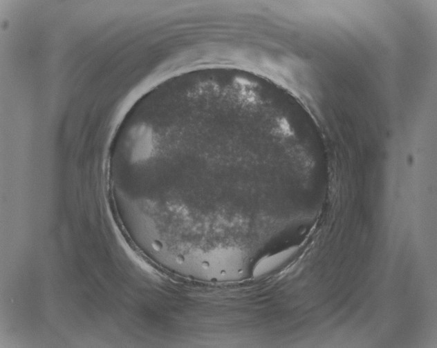 X0000080811519200701051137