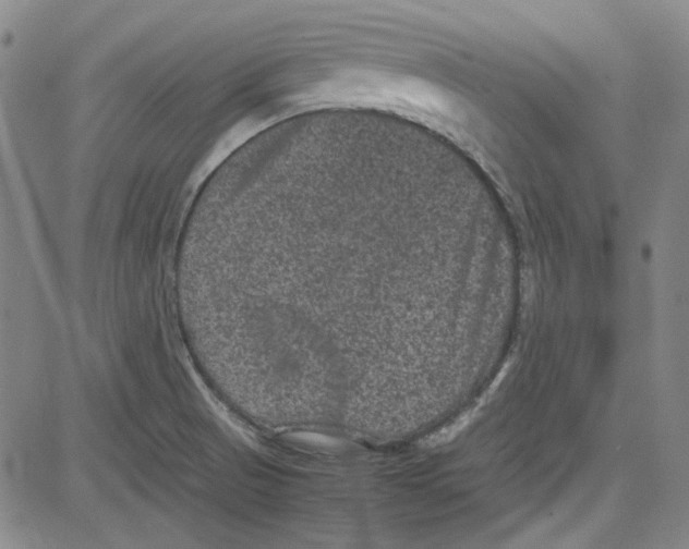 X0000080811521200701051137