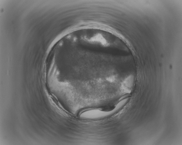 X0000080811522200701051137