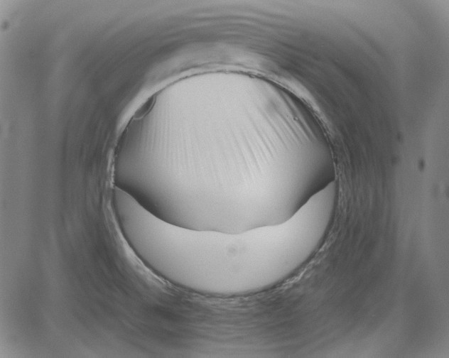 X0000080811524200701051137