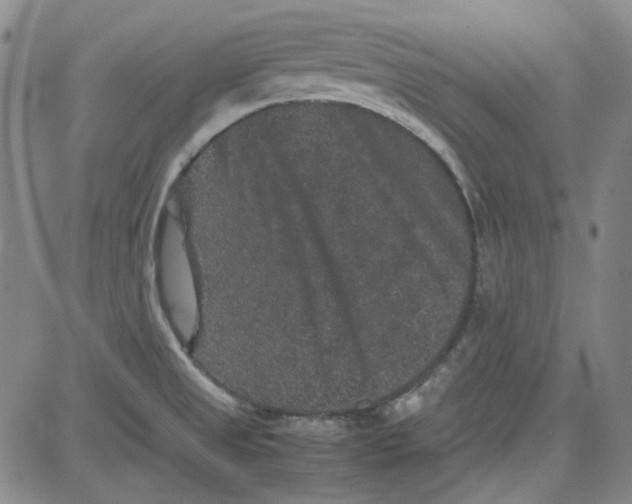 X0000080811525200701051137