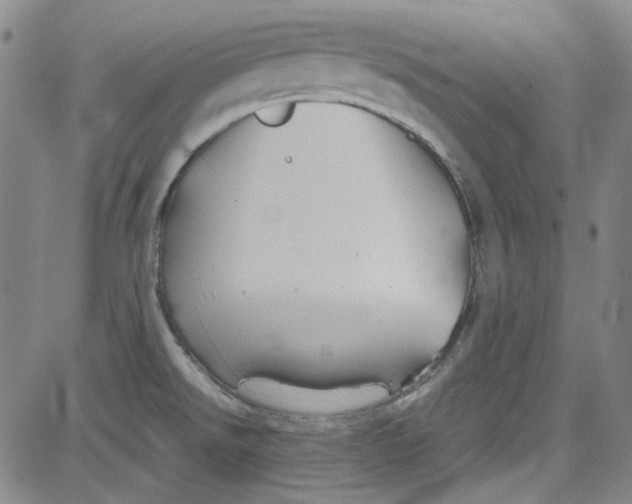 X0000080811526200701051137