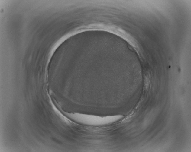 X0000080811527200701051137