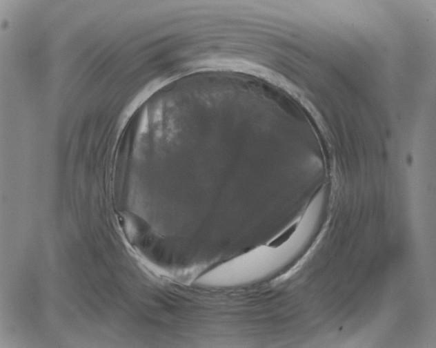 X0000080811529200701051137