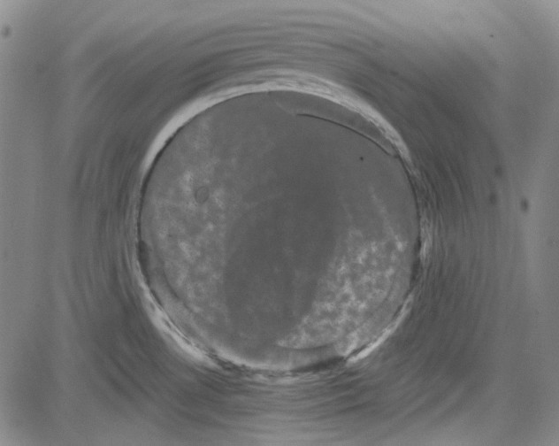 X0000080811530200701051137