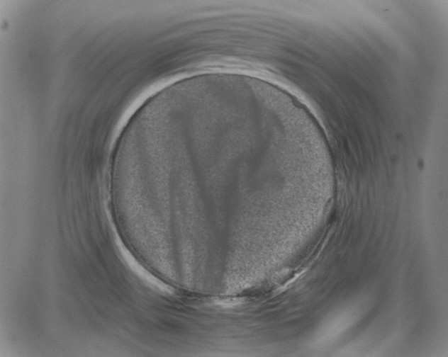 X0000080811531200701051137