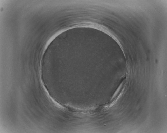 X0000080811533200701051137