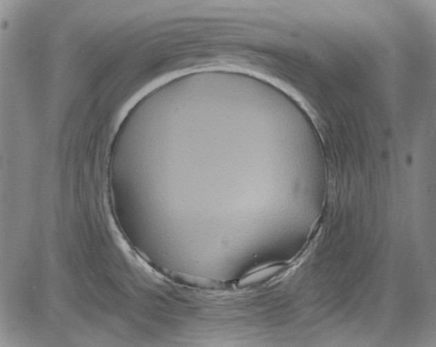 X0000080811534200701051138