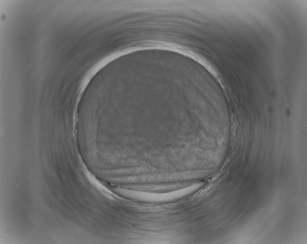 X0000080811535200701051138