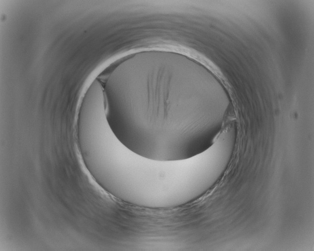 X0000080811536200701051138