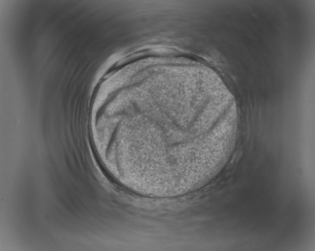 X0000080810003200701122253