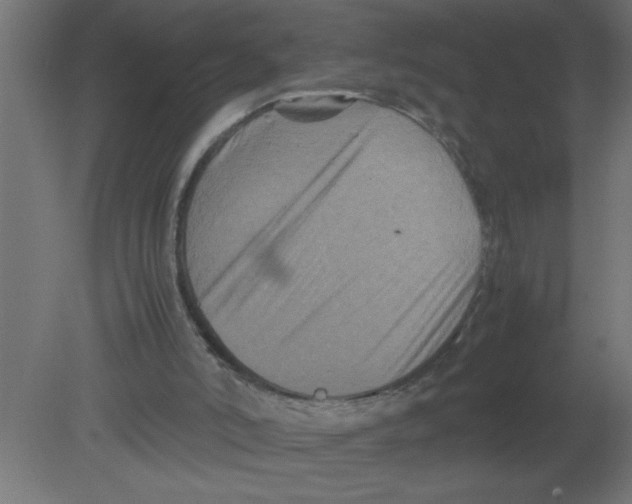 X0000080810006200701122253