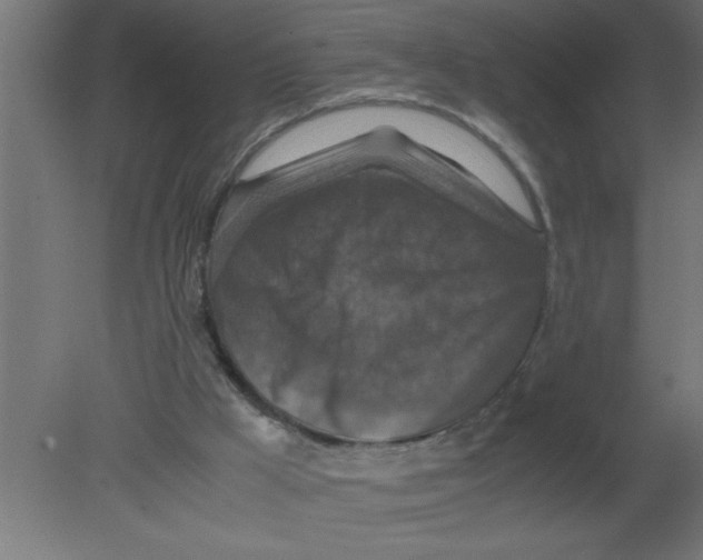 X0000080810009200701122253