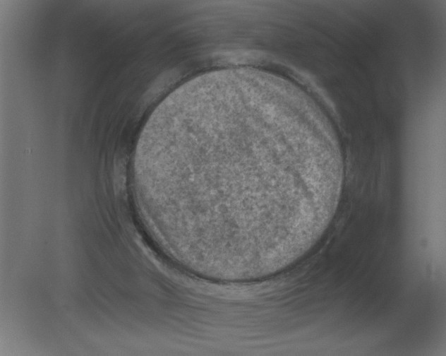 X0000080810010200701122253