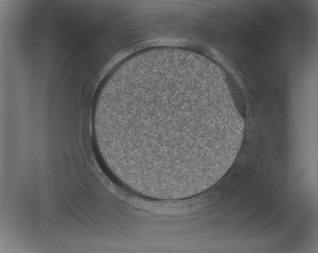 X0000080810011200701122253