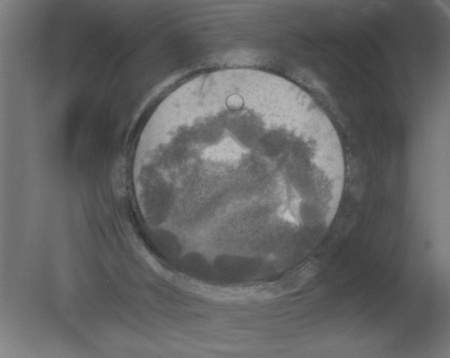 X0000080810012200701122253