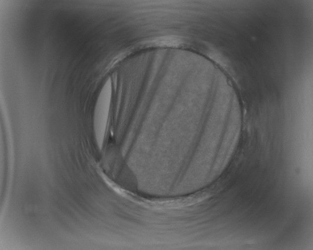 X0000080810013200701122253