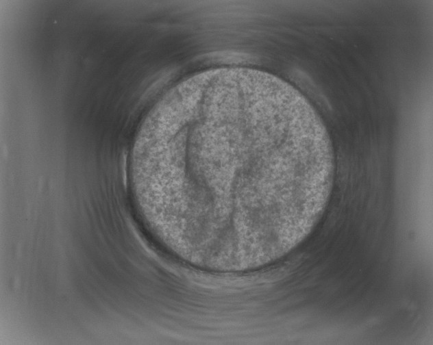 X0000080810014200701122253