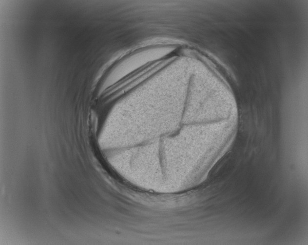 X0000080810015200701122253