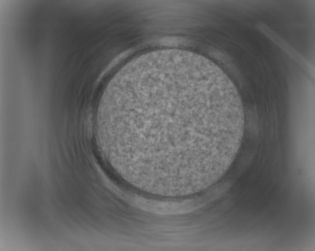 X0000080810016200701122253