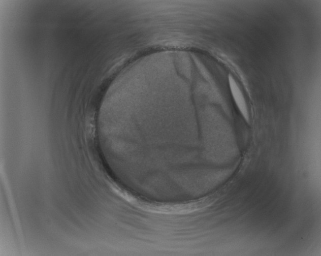 X0000080810017200701122253