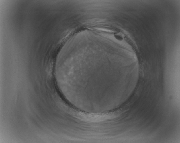 X0000080810018200701122253