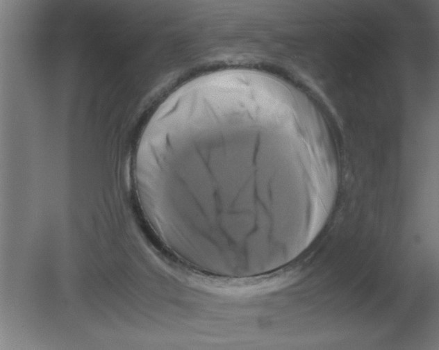 X0000080810019200701122253