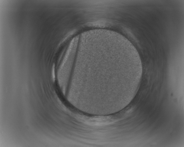 X0000080810020200701122253