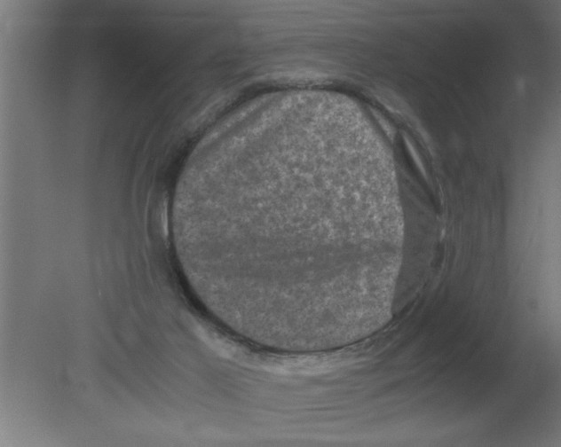 X0000080810021200701122253