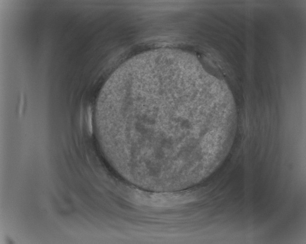 X0000080810022200701122252