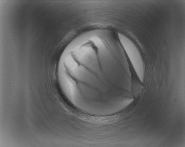 X0000080810023200701122252