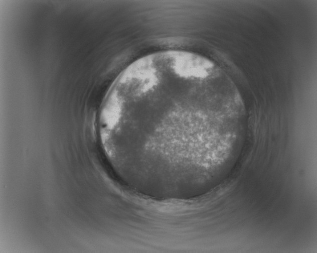 X0000080810024200701122252