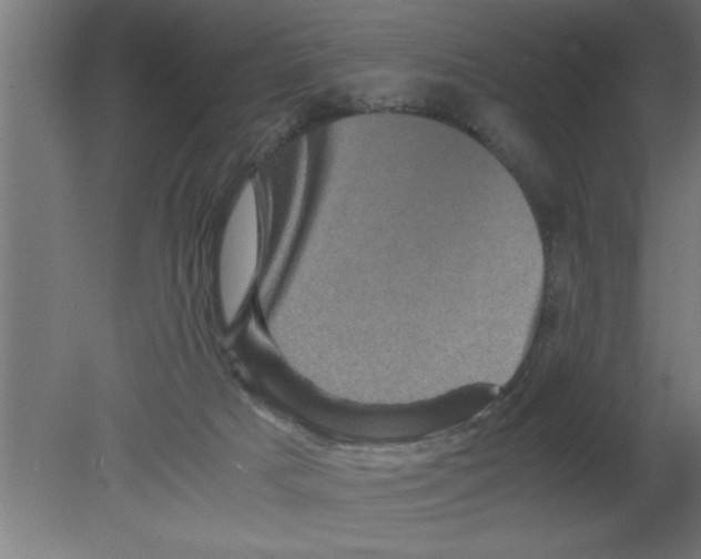 X0000080810025200701122252