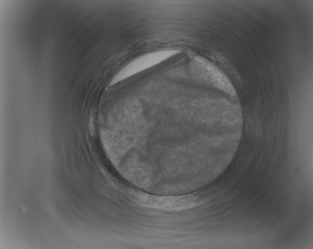 X0000080810026200701122252