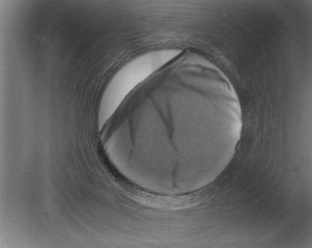 X0000080810027200701122252