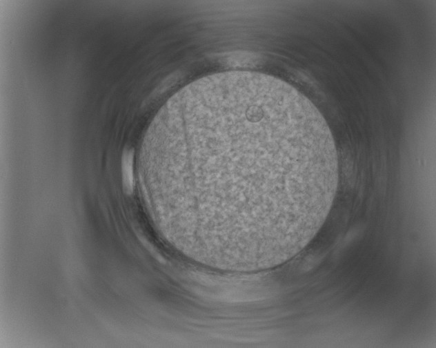 X0000080810028200701122252