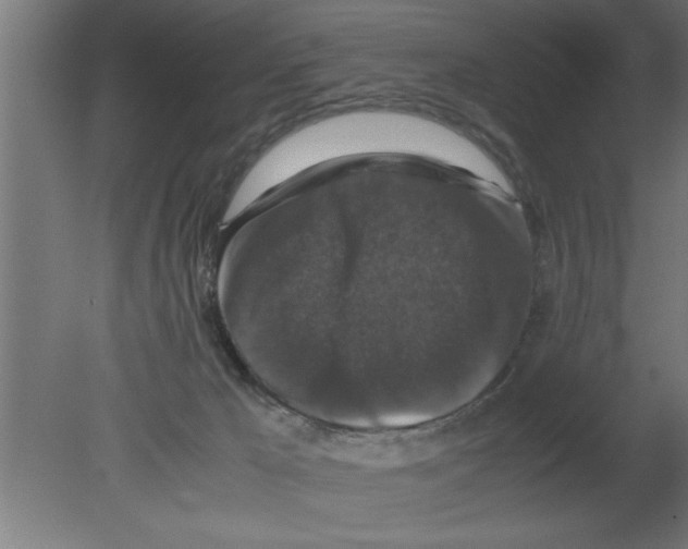 X0000080810029200701122252