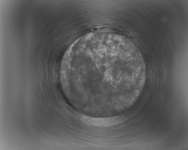 X0000080810030200701122252