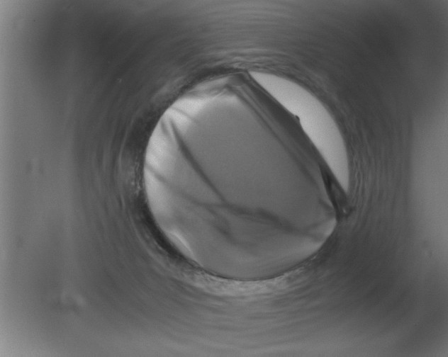 X0000080810031200701122252