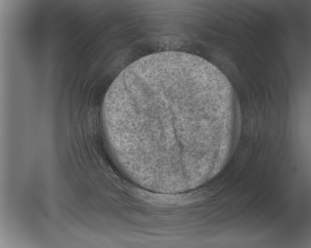 X0000080810034200701122252