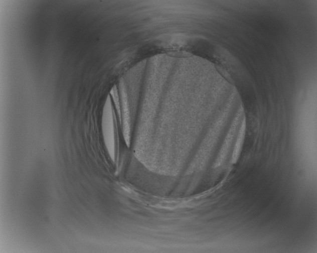 X0000080810037200701122252