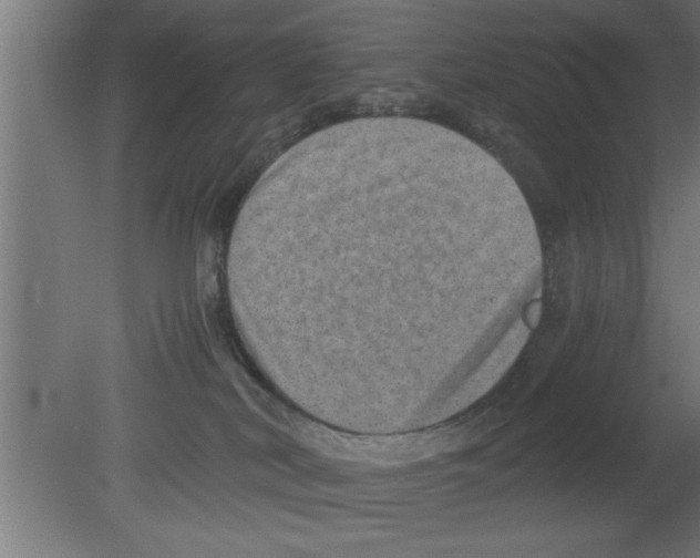 X0000080810038200701122252