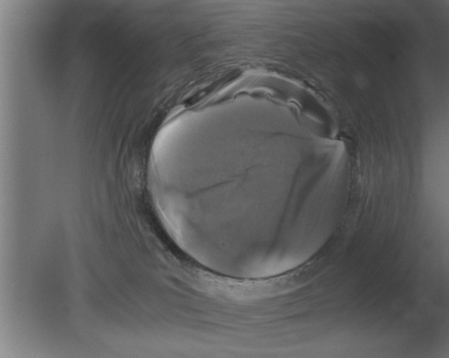 X0000080810039200701122252