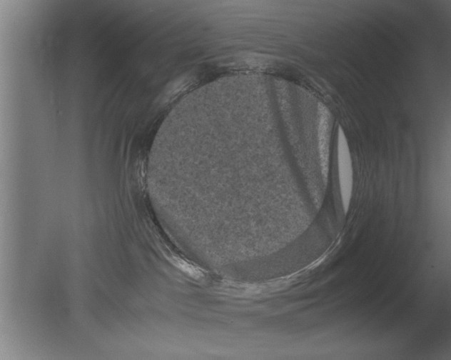 X0000080810045200701122252